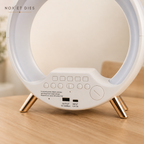 Vue arrière de la lampe Piédor montrant les boutons de réglage, la sortie USB 5V et l'entrée secteur 12V