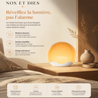 Le réveil lumineux 2 waves posé sur une table de chevet en bois, diffusant une lumière jaune orangée chaleureuse. Entouré d'un vase avec des branches séchées, il présente un design rond et élégant, accompagné du slogan "Réveillez la lumière". Idéal pour un réveil en douceur.